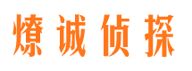 小金市侦探公司